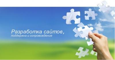 Профессиональный сайт: добиваемся успеха взвешенными действиями