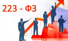 Базовый курс по 223 ФЗ